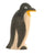 Ostheimer Penguin, Beak Straight