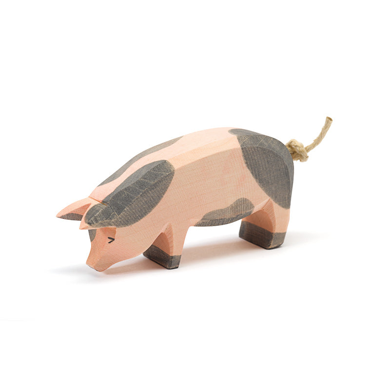 Ostheimer Spotted Pig, Head Low