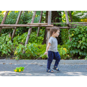 Plan Toys Dancing Alligator