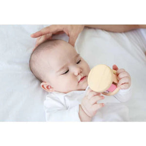 Plan Toys Roller -- Pastel
