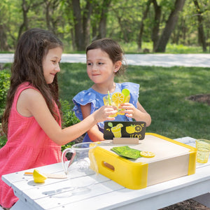 Pretendables Lemonade Time Set by Fat Brain Toys