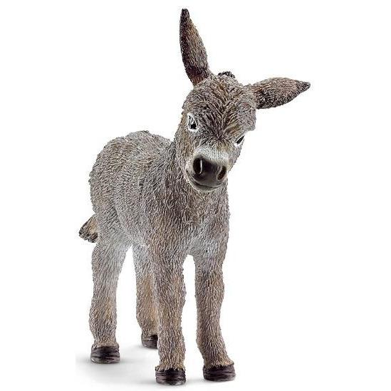 detailed grey donkey foal