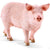 detailed pig figure, pink