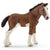 detailed clydesdale foal with red bow on tail