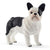 Schleich® 13877, French Bulldog