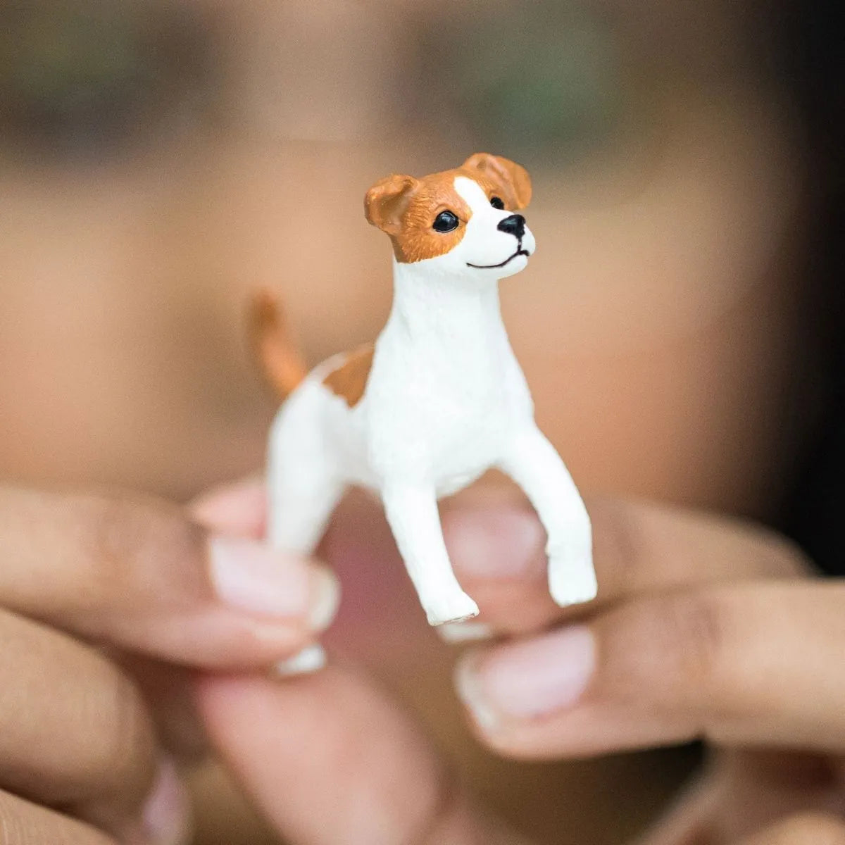 Schleich jack russell best sale