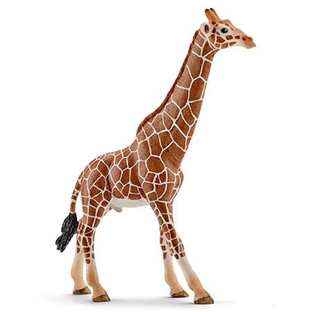 Schleich® 14749, Giraffe, male