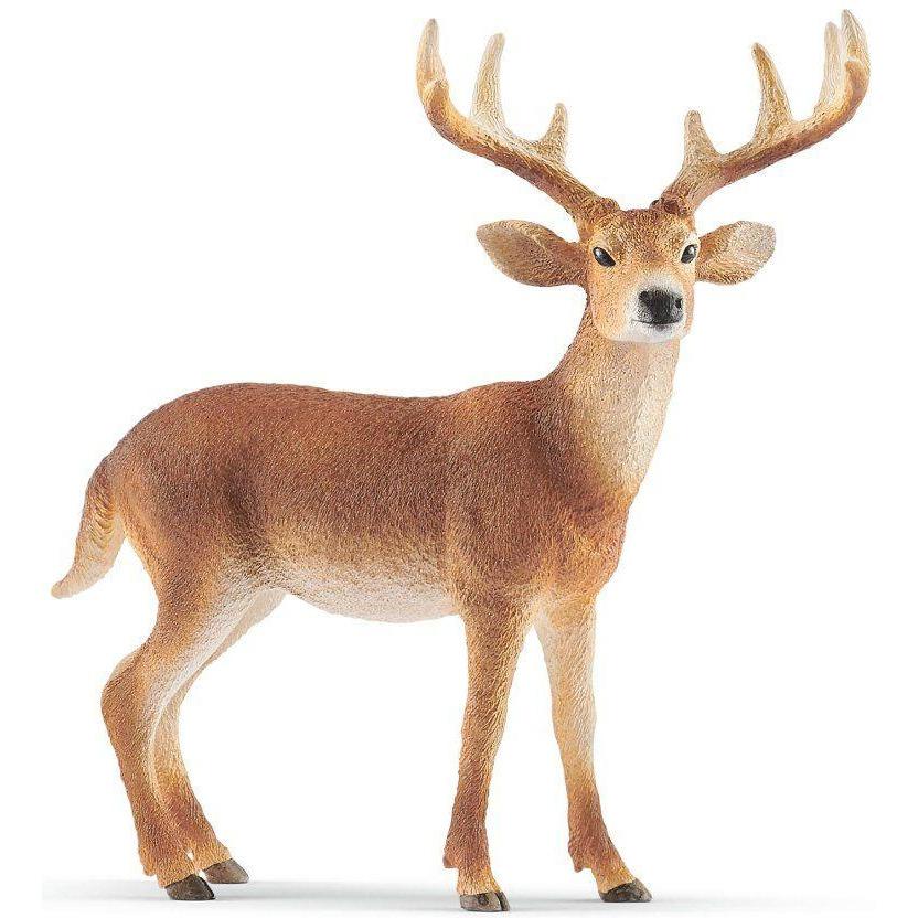 detailed white-tale buck figure, standing