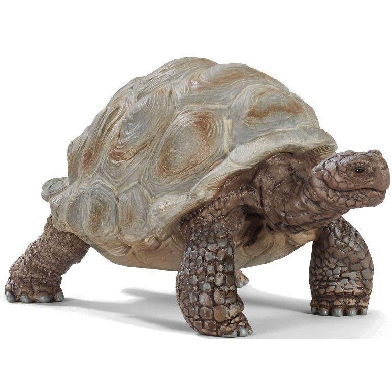 detailed giant tortoise figure, standing