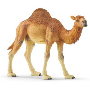 detailed dromedary figure