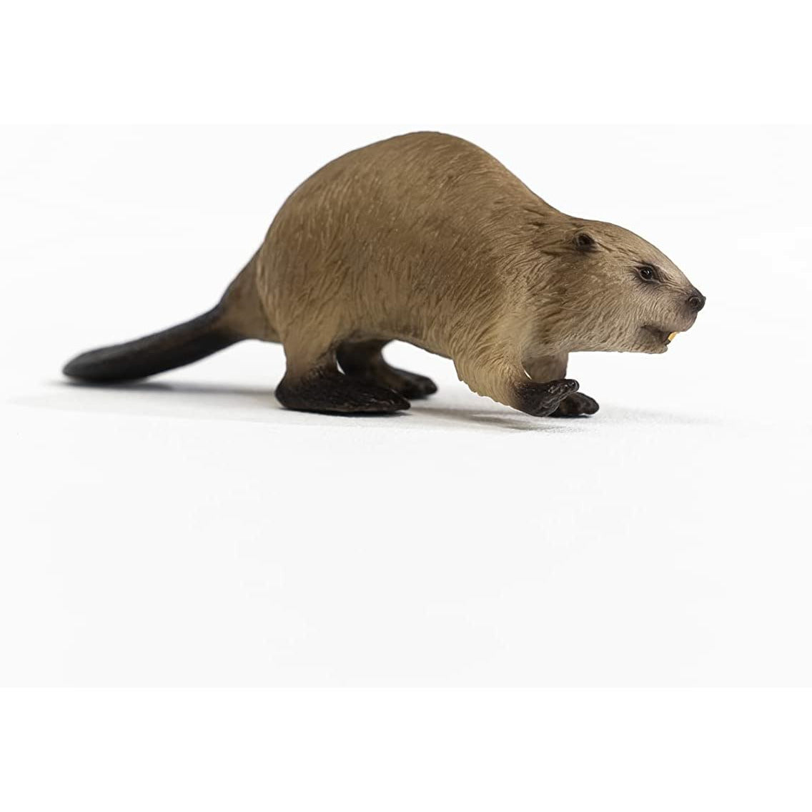 Schleich® 14855, Beaver