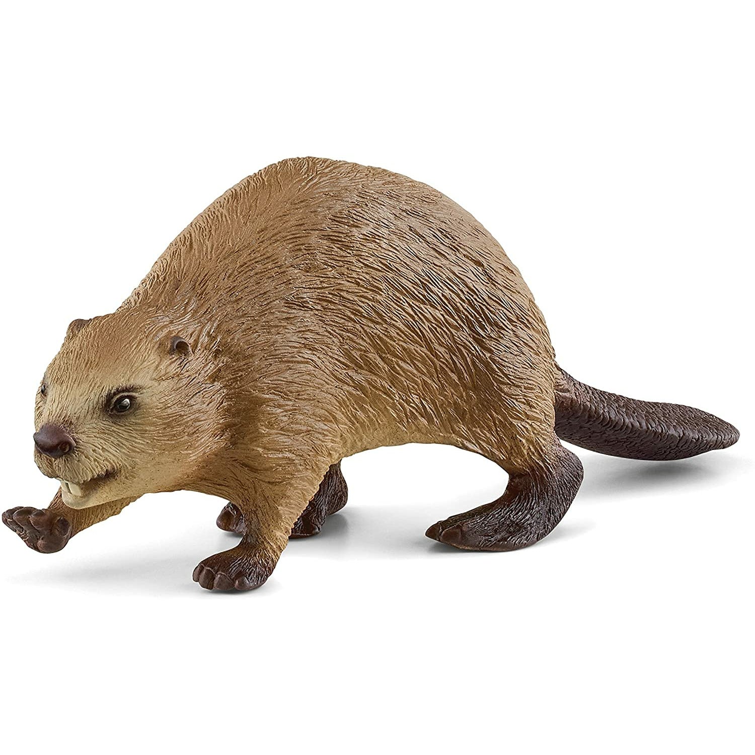 Schleich® 14855, Beaver