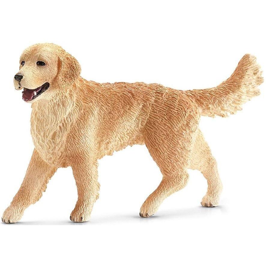 detailed female golden retriever, running