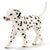 Schleich® 16838, Dalmatian, Male