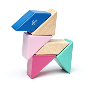 Tegu Pocket Pouch: Blossom