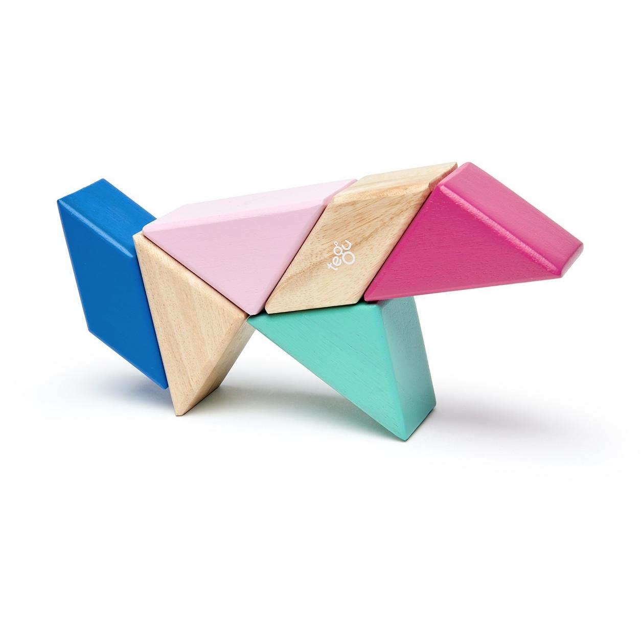 Tegu Pocket Pouch: Blossom