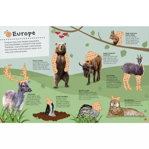 Ultimate Sticker Book: Animals