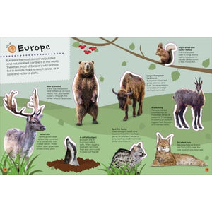 Ultimate Sticker Book: Animals