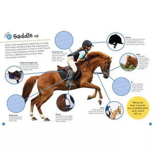 Ultimate Sticker Book: Horses and Ponies