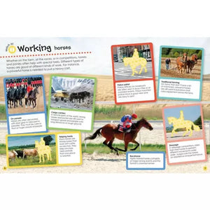 Ultimate Sticker Book: Horses and Ponies