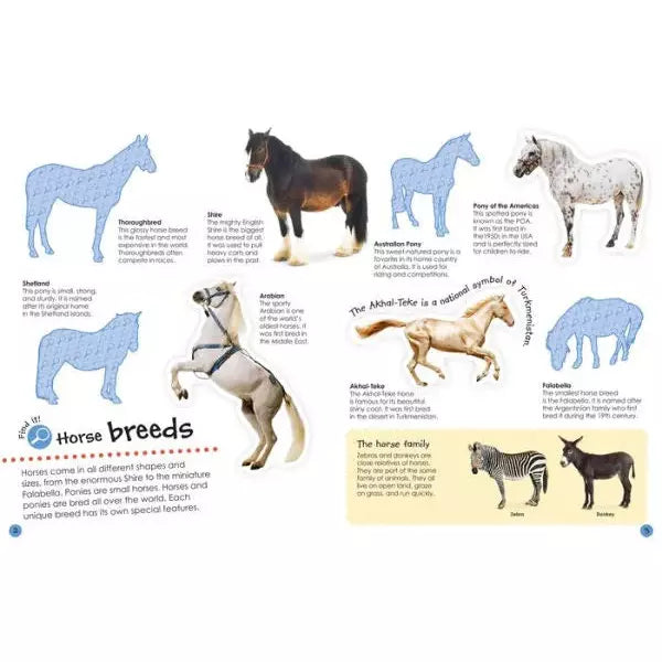 Ultimate Sticker Book: Horses and Ponies