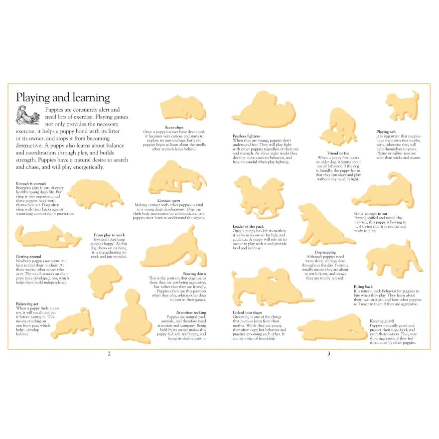 Ultimate Sticker Book: Puppy