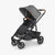 UPPAbaby CRUZ V2 in Greyson (Special Order)